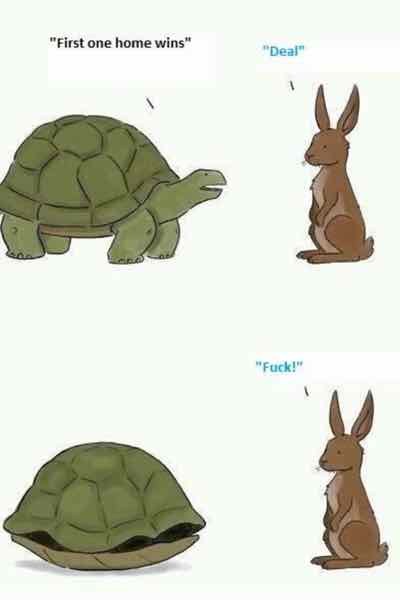 hare turtle race funny